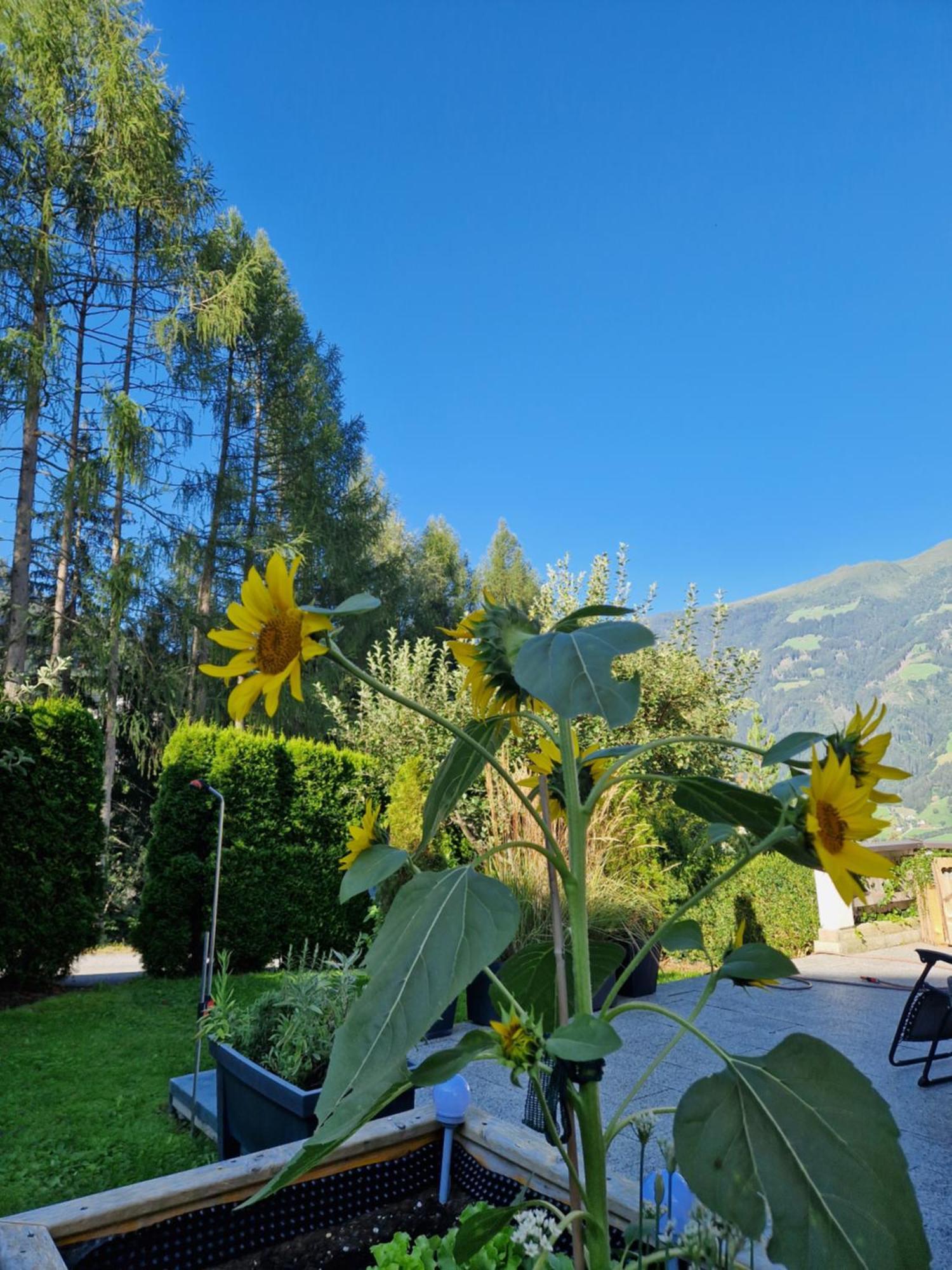 Haus Roland Appartement Zell am Ziller Buitenkant foto