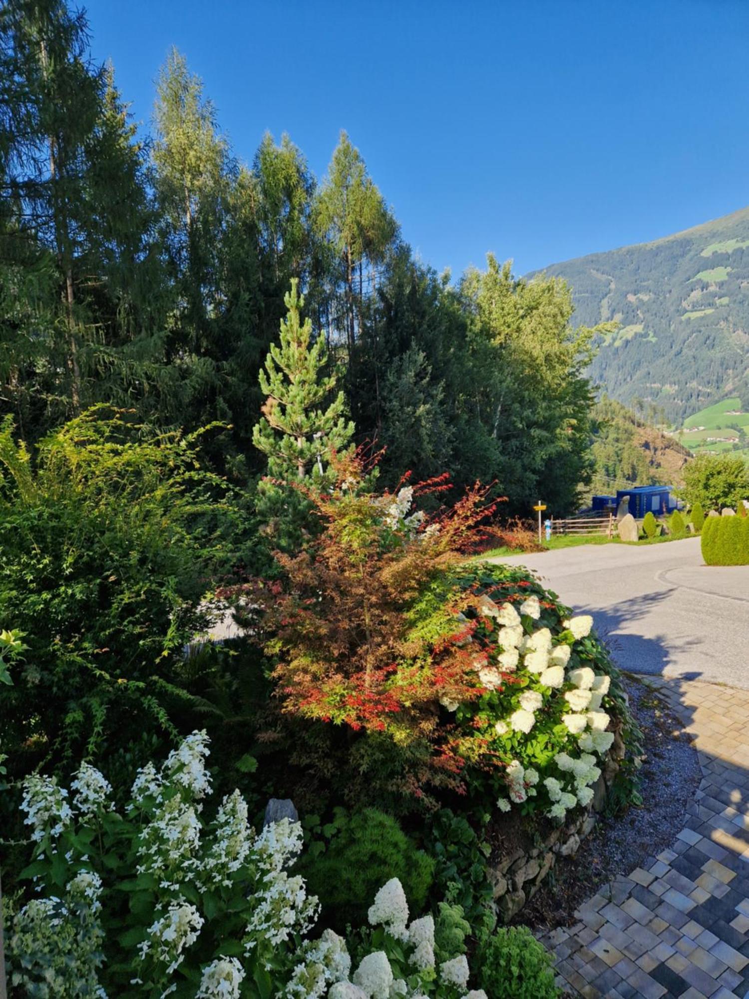 Haus Roland Appartement Zell am Ziller Buitenkant foto